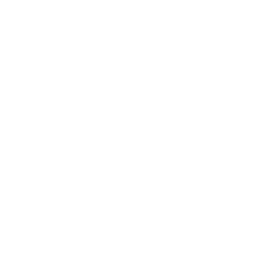 Vet Vision